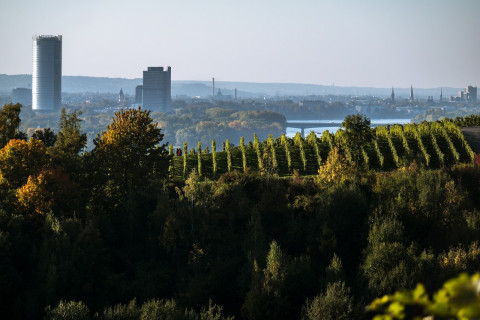 Image of Bonn