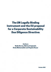 Briefing Legally Binding Instrument