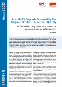 Cover_EU-CSDDD_UN-Treaty