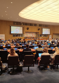 FfD session at HLPF 2022