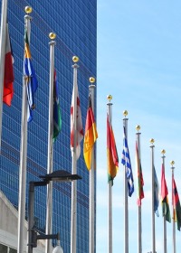 UN Flags