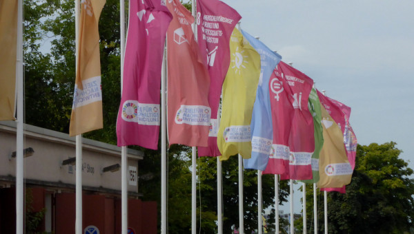 SDG flags