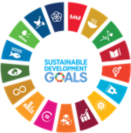 SDGs wheel