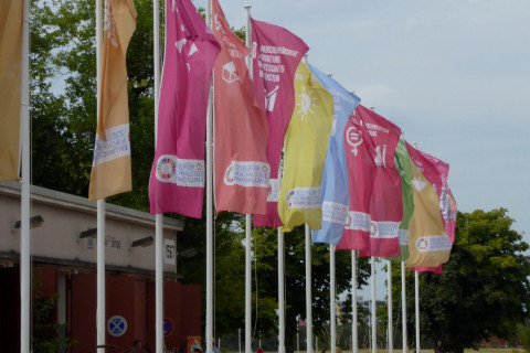 SDG flags