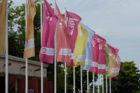 SDG flags