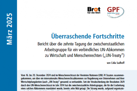 Cover_UN-Treaty_Überraschende Fortschritte
