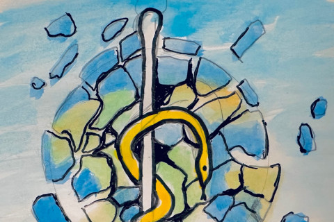 fragmented global health