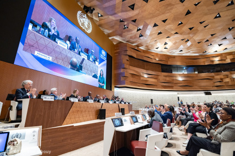 Plenary World Health Organization 77 WHA 2024